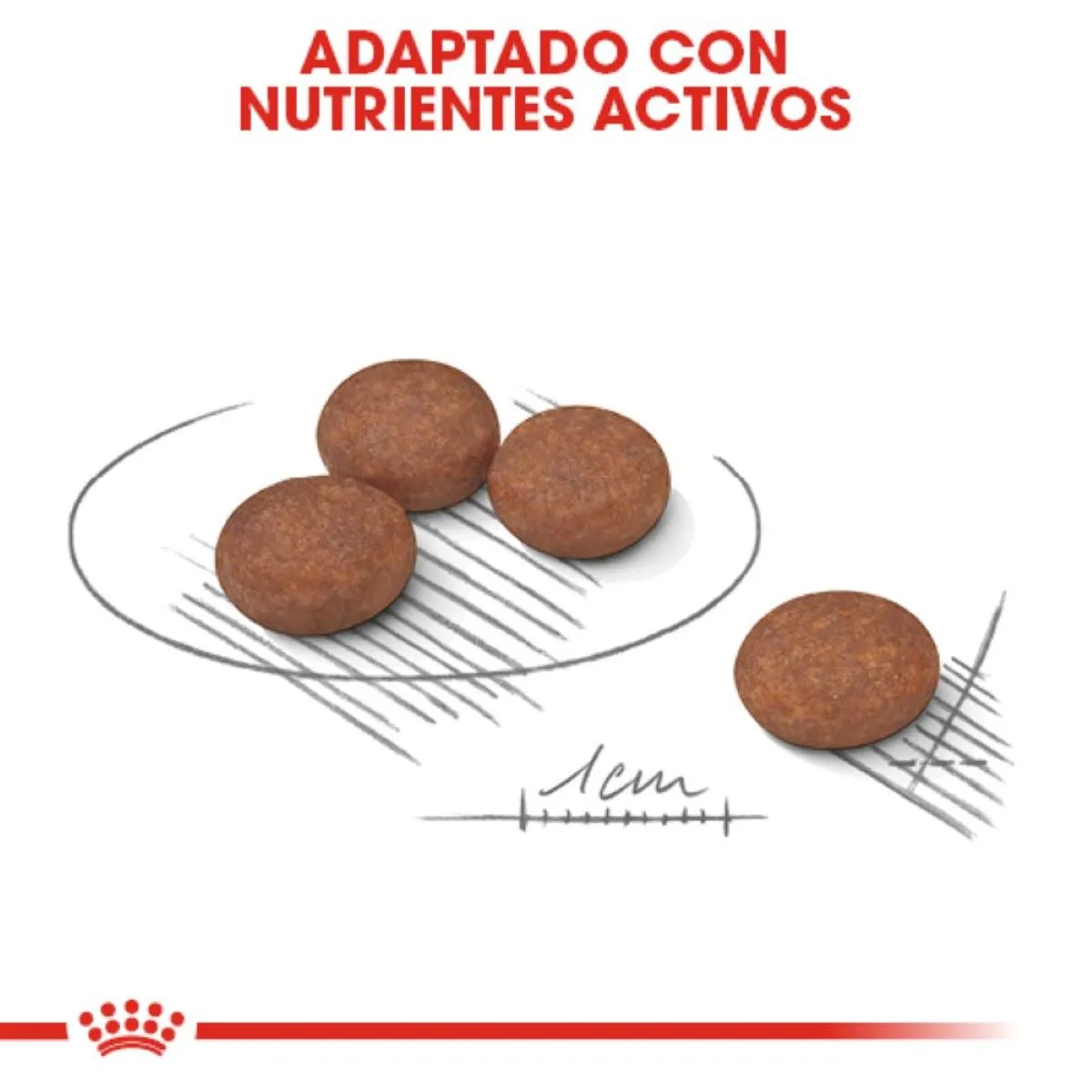 Alimento para Perro Royal Canin POS Mini Special 1.6 Kg